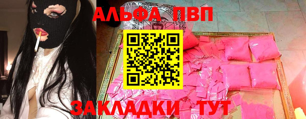 A PVP СК КРИС Белгород