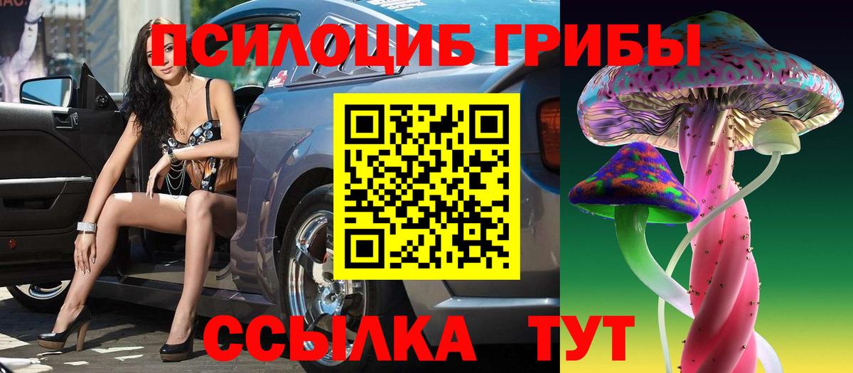 где продают   Галлюциногенные грибы GOLDEN TEACHER  Вход с VPN  Белгород 